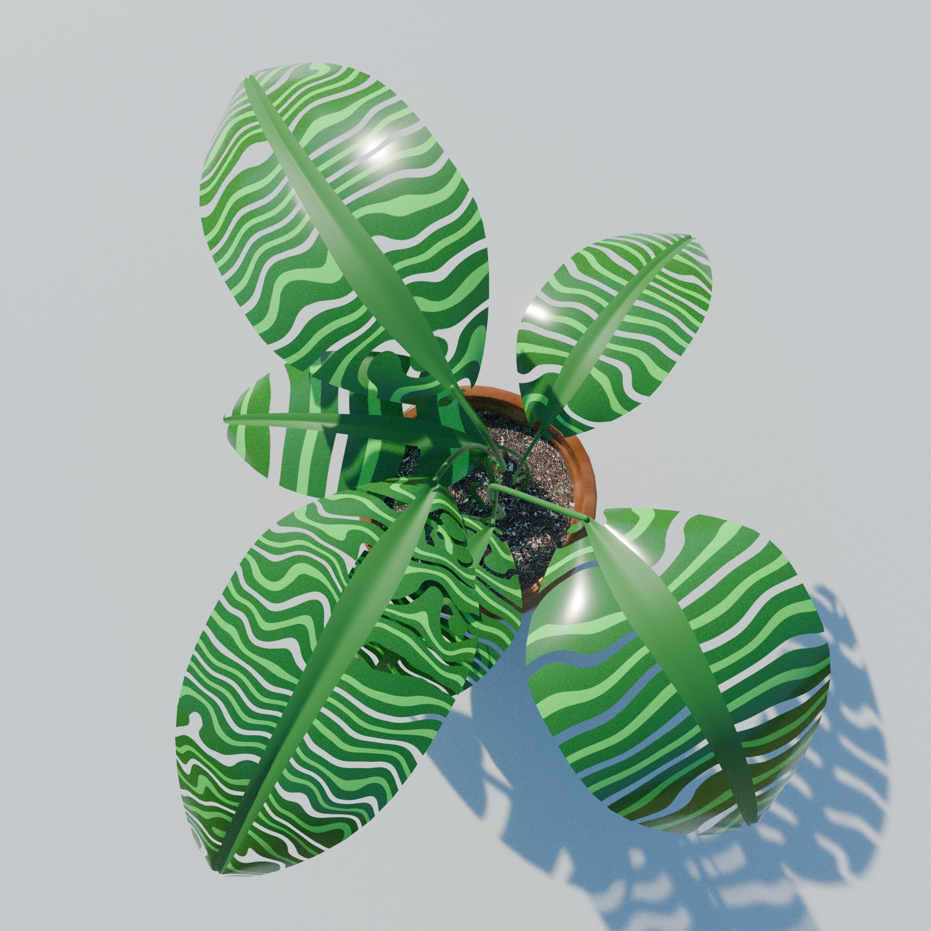 Monstera_1 Monstera_1