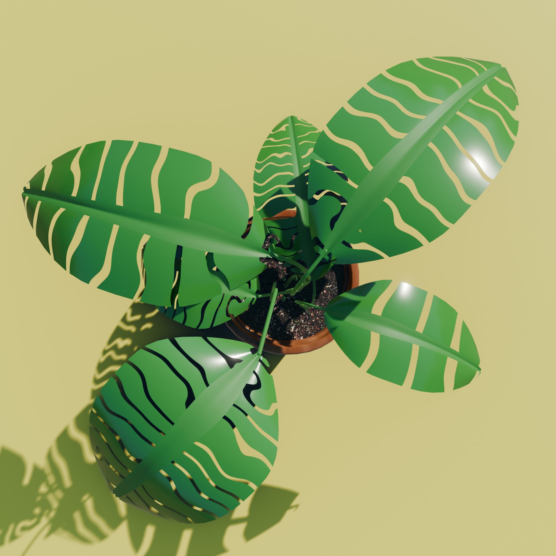 Monstera_2 Monstera_2