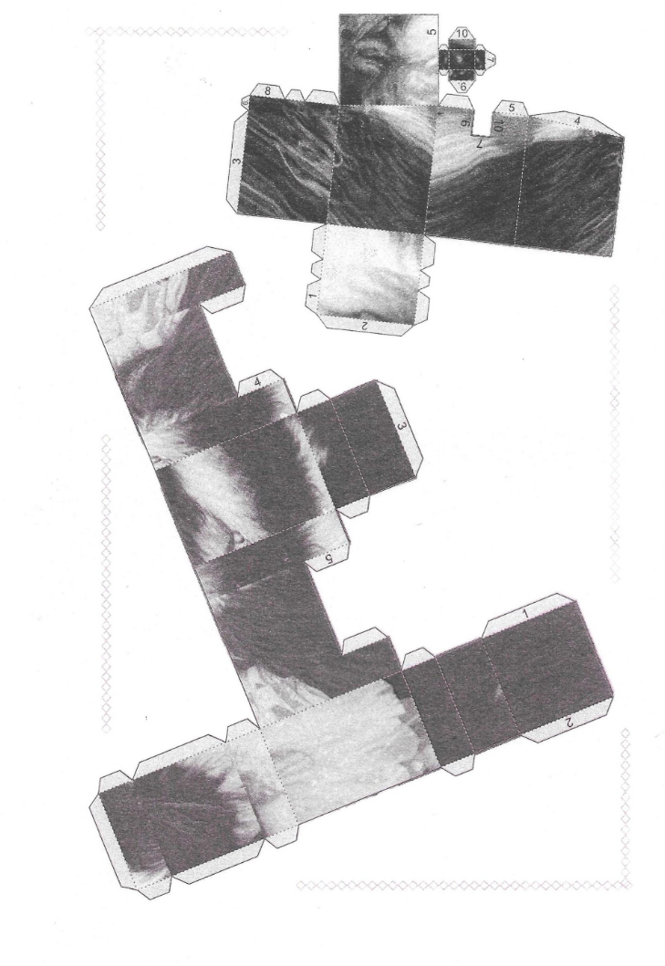 DB_12